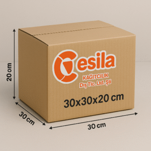 30x30x20 Kargo, Taşıma ve Taşınma Kolisi